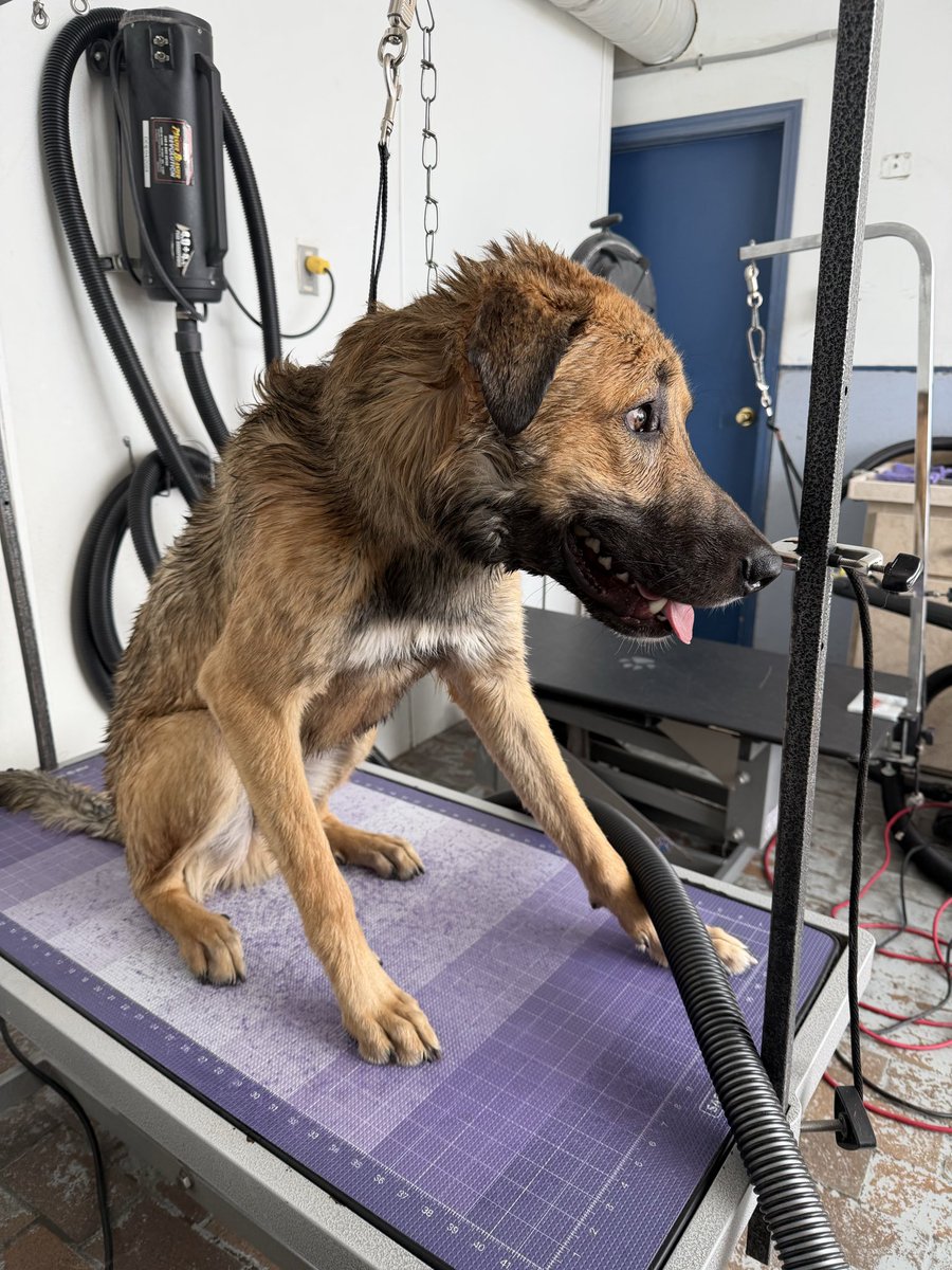 River THE Bard| TTRPG Vtuber❤️‍🔥 tweet media