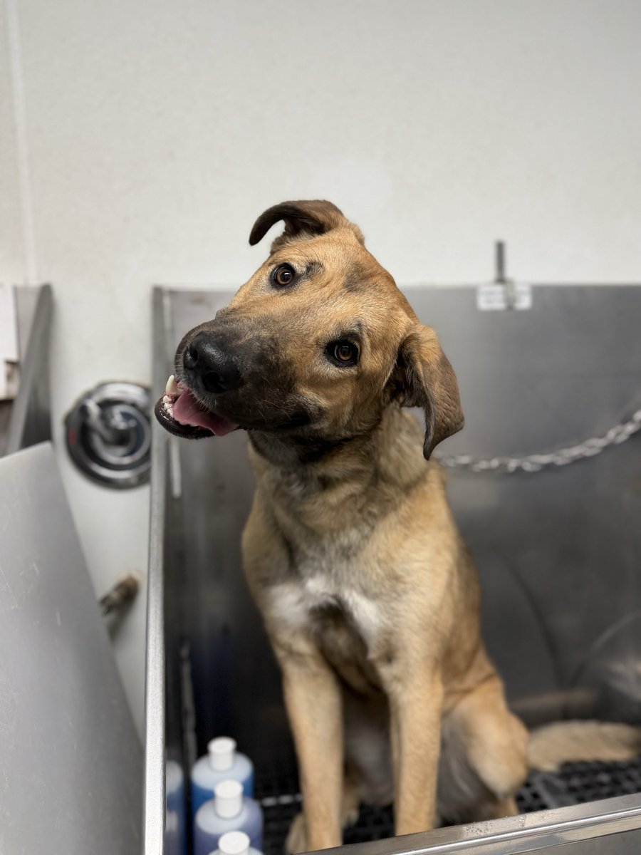 River THE Bard| TTRPG Vtuber❤️‍🔥 tweet media