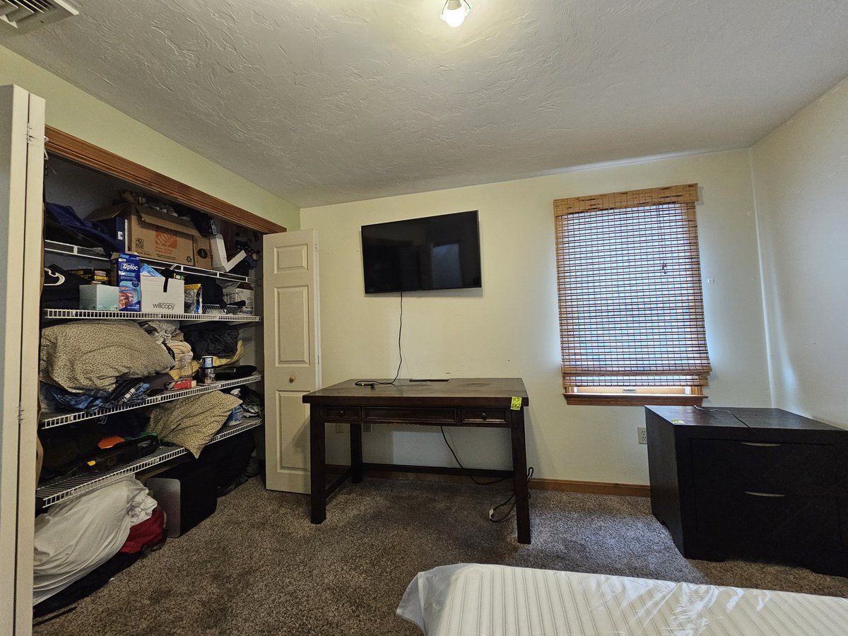 Vesper Nightfall 🦄 tweet media