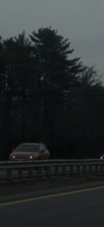 Only In Cambridge tweet media