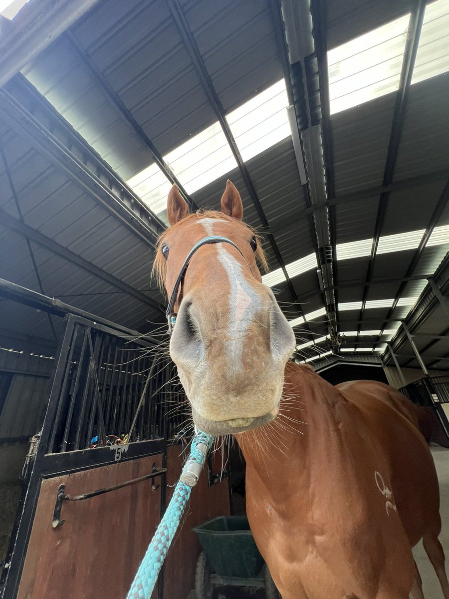 BGT/BB CN0mi tweet media