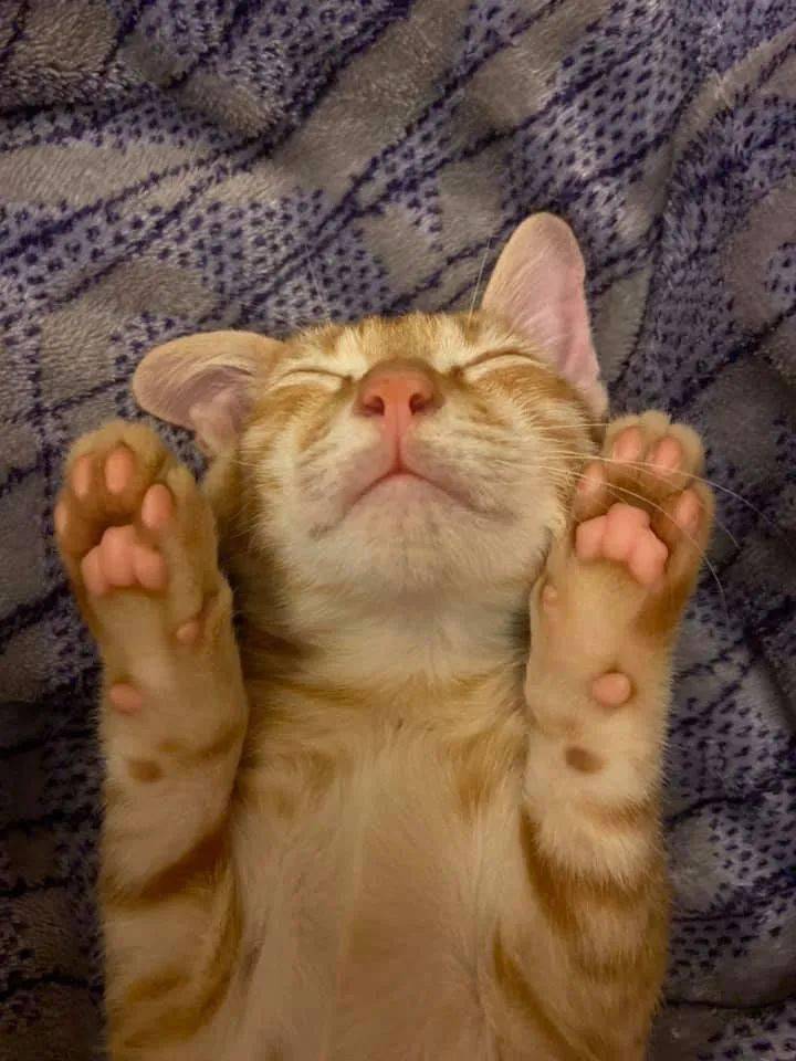 Nuru Omar tweet media