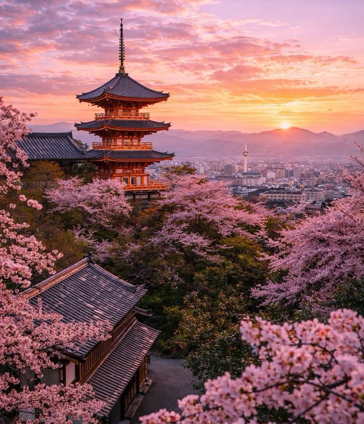 Paz Zárate tweet media