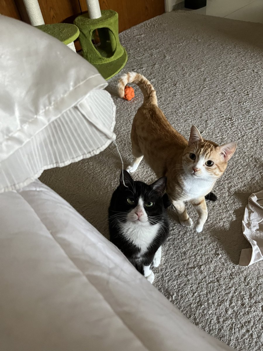 Child of God tweet media