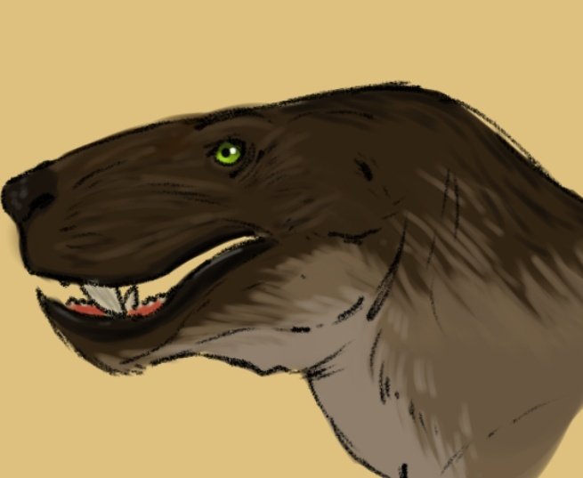 🦖 MR JEFF 🐲🍉( I'm an Allosaurus) tweet media