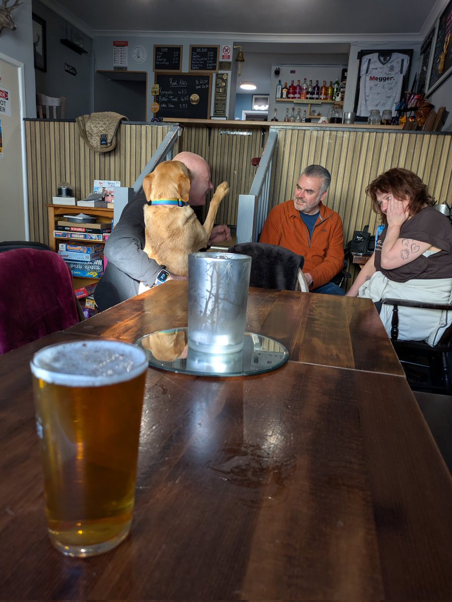 Si BRAPA Everitt tweet media