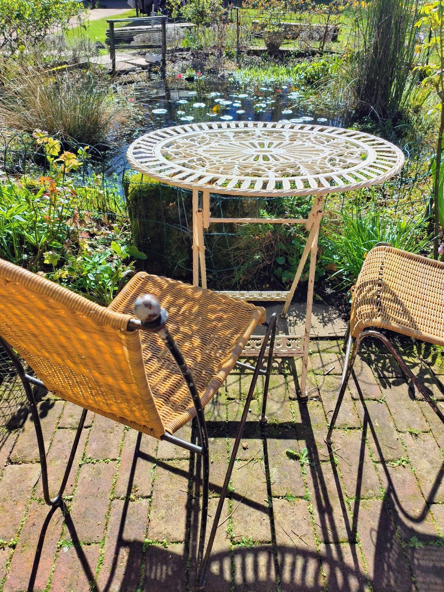 Lady Grace tweet media