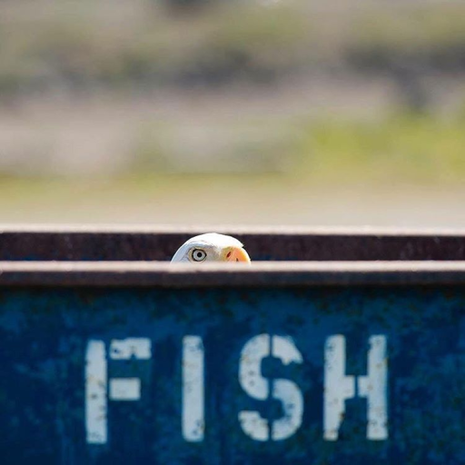 Young-Jacob 🇺🇸 tweet media