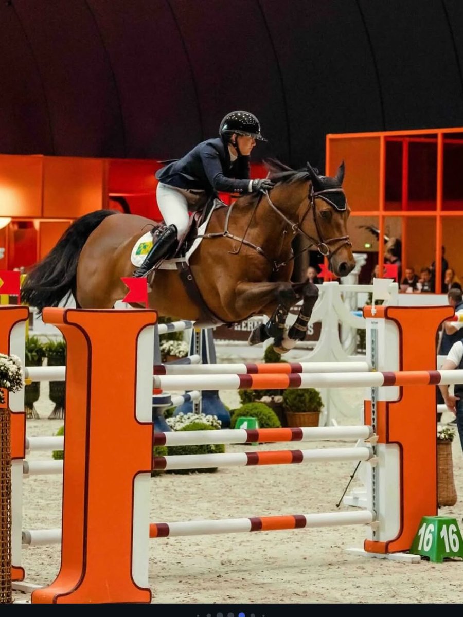 CPP-LUXURY.COM tweet media