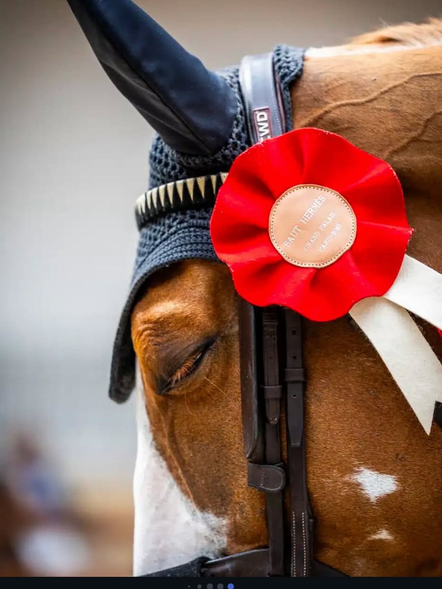 CPP-LUXURY.COM tweet media