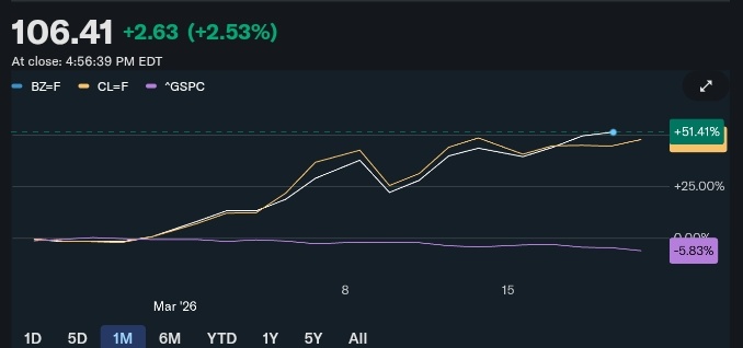 Squid Traders tweet media