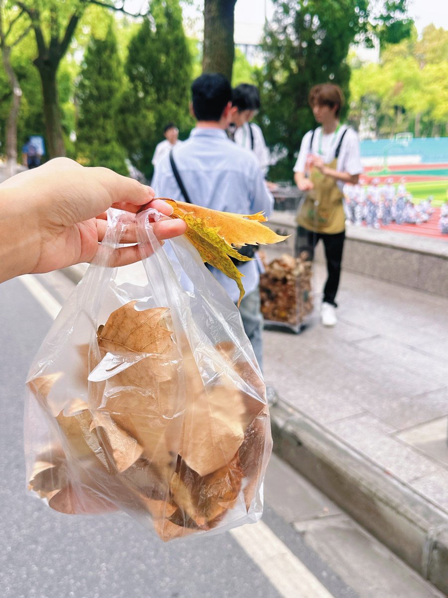 lawrence tweet media