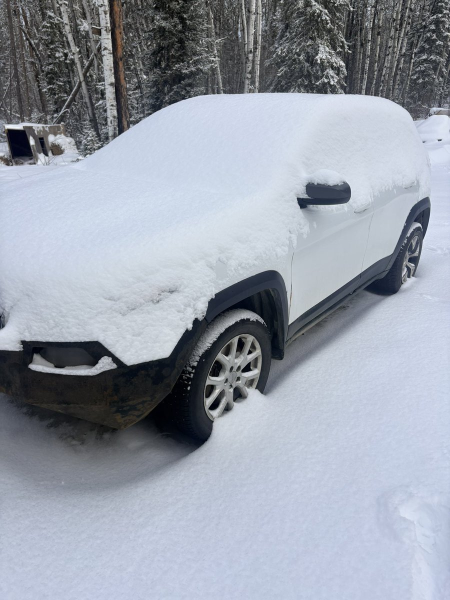 TruthBeautyLove tweet media