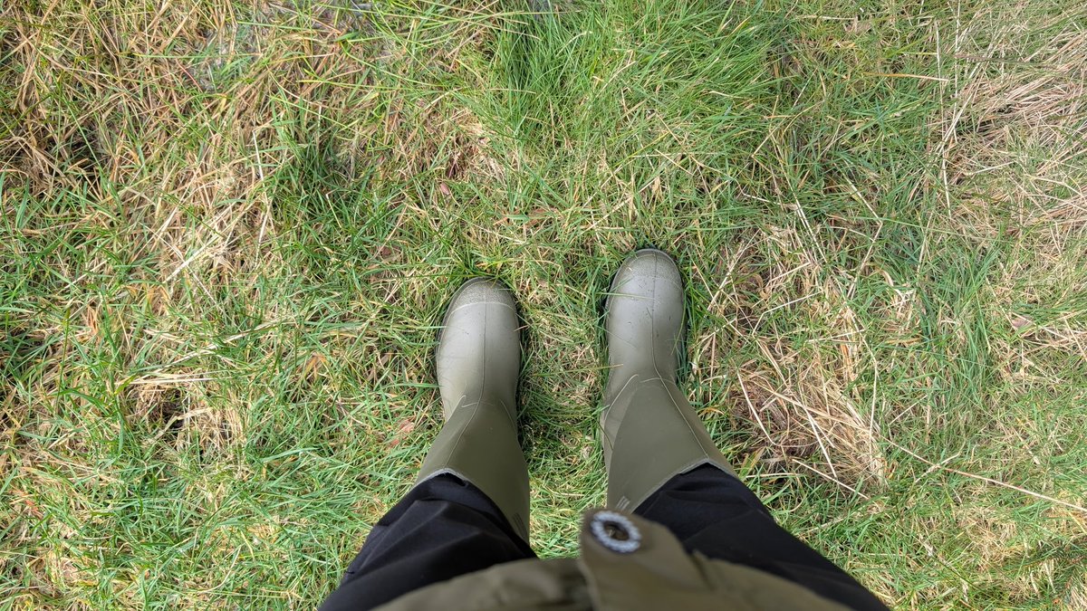 (польська) Баба Срака 🏴 tweet media