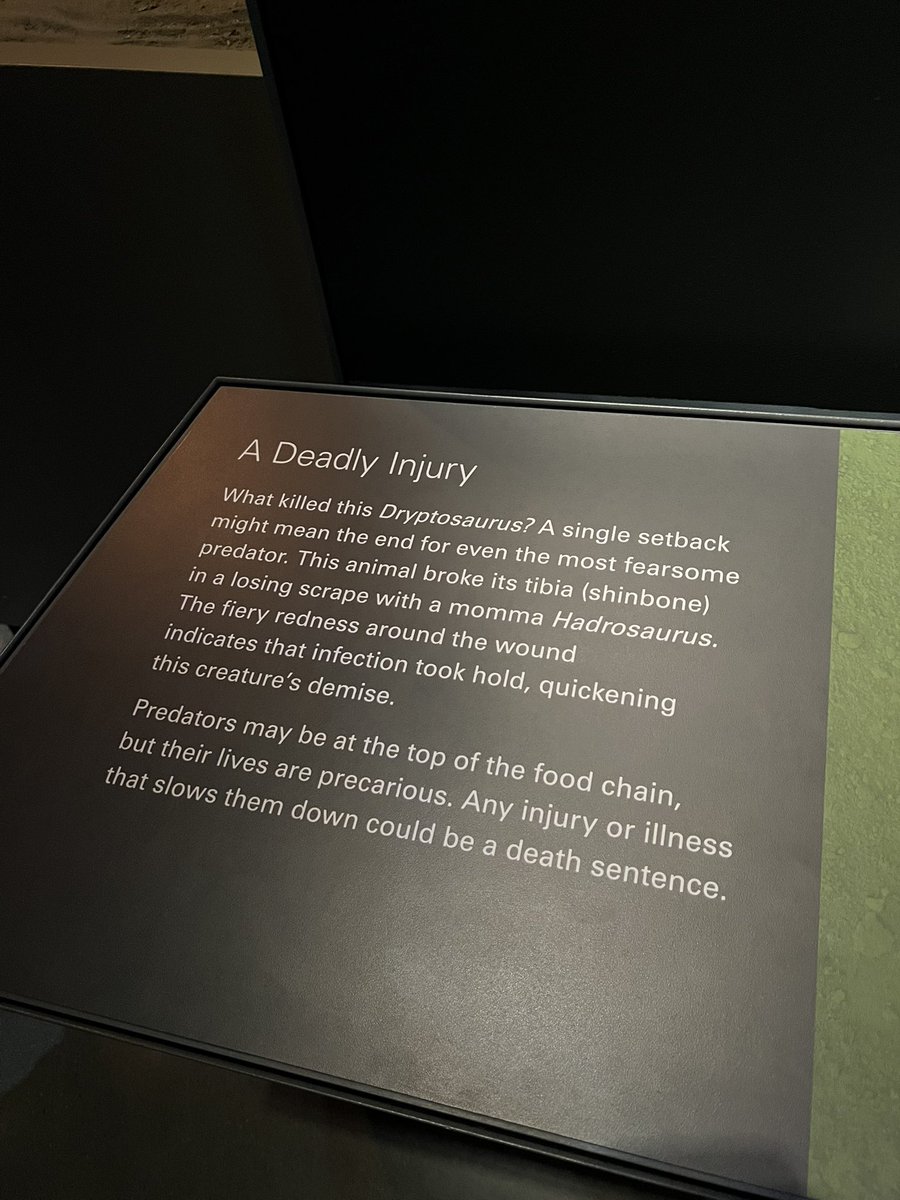 Ausarchosaur tweet media