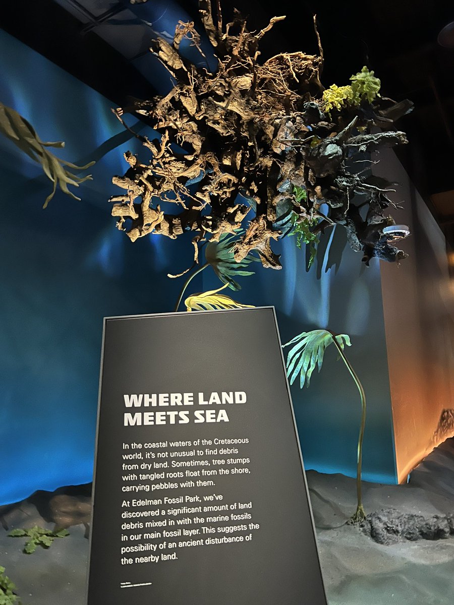 Ausarchosaur tweet media