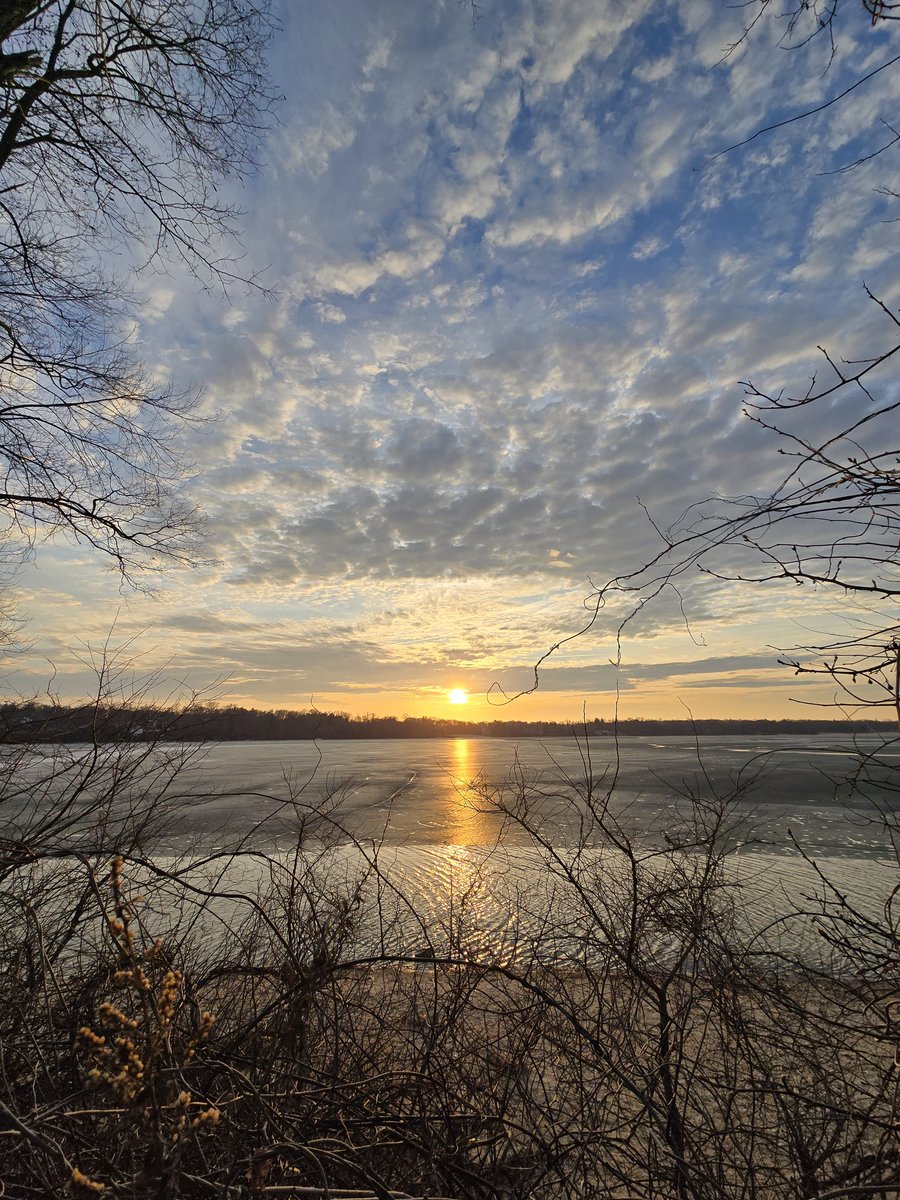 birdsong tweet media