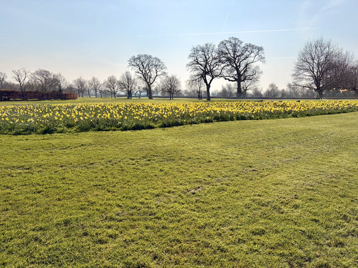 joyjellybeans tweet media