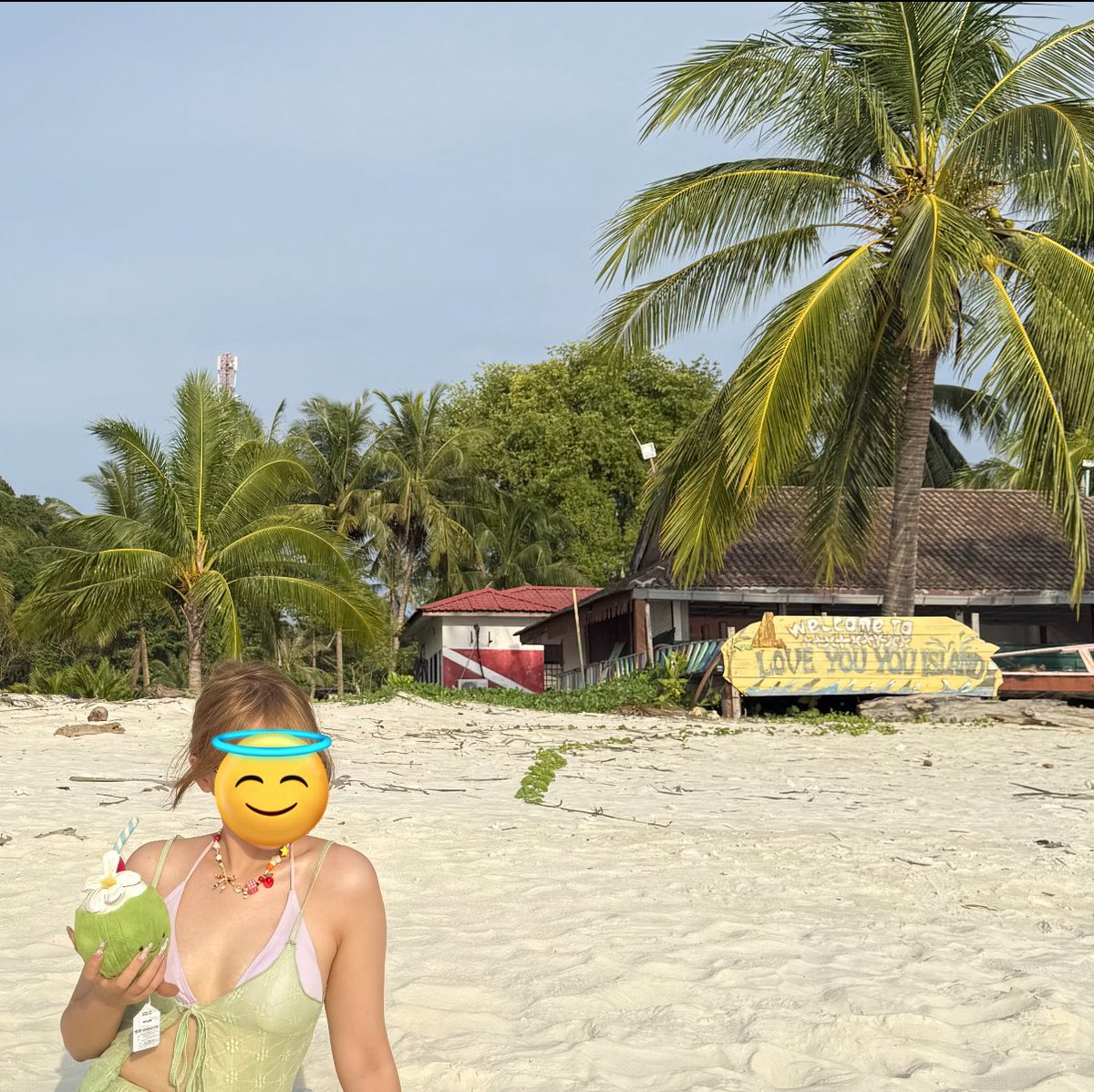 幸福快乐小猪王 tweet media