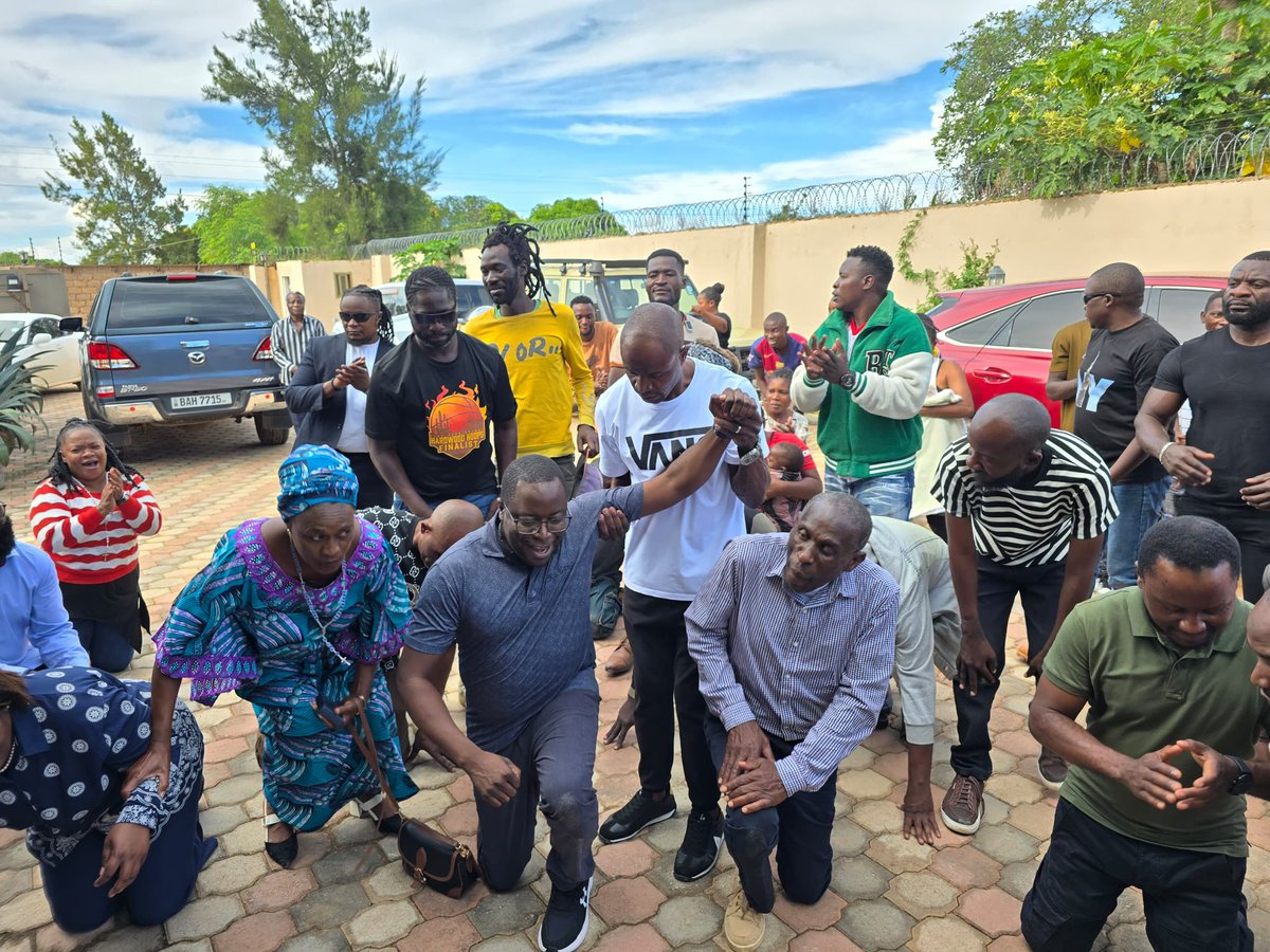 plant a tree 🌱 tweet media