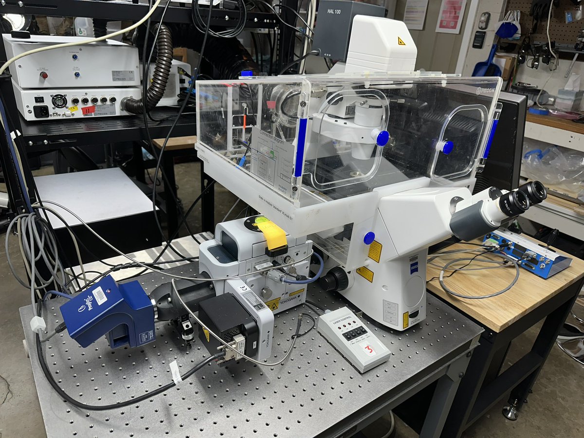 integrated daddy tweet media