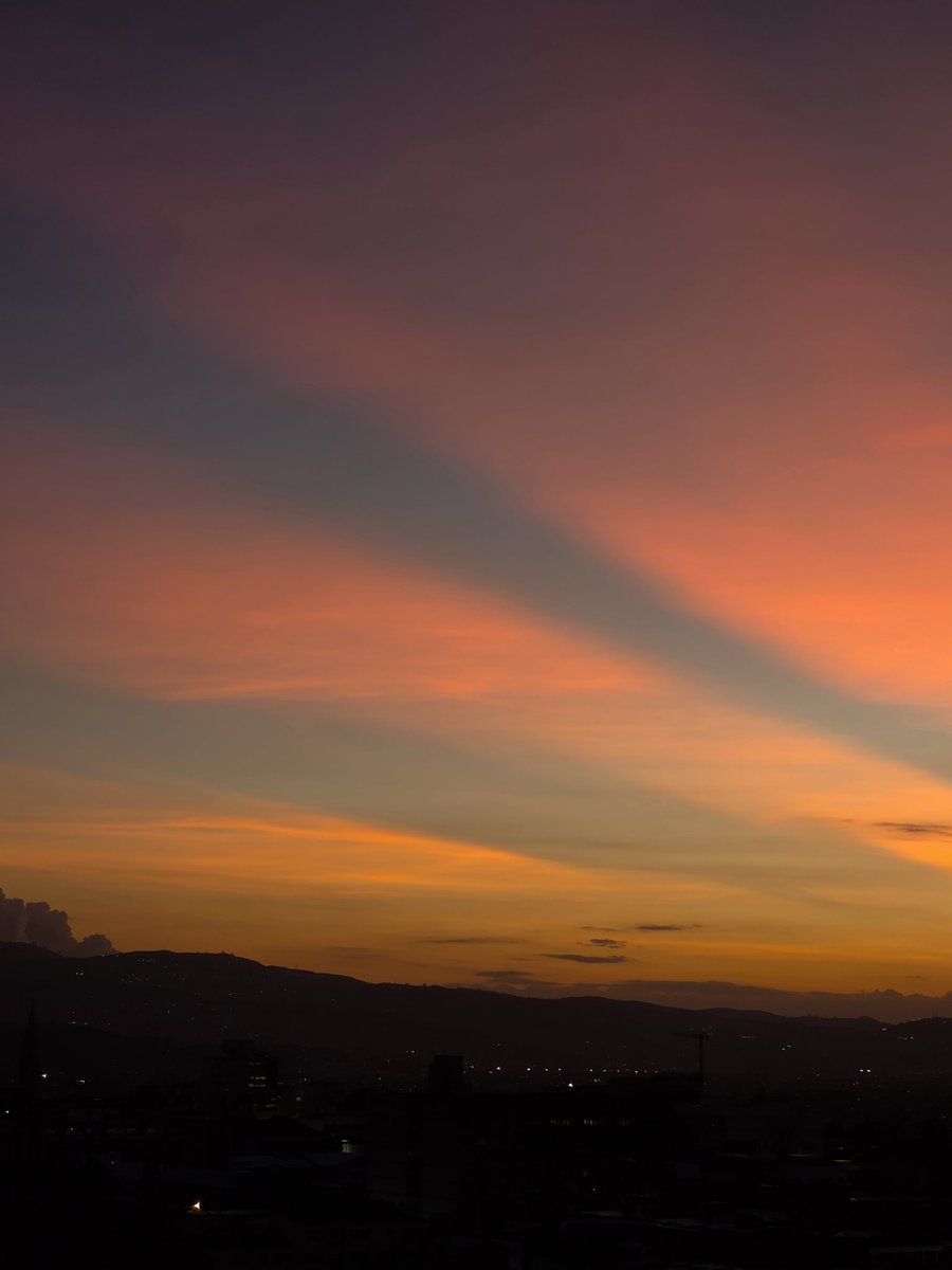 Dayanna Alarcón. tweet media