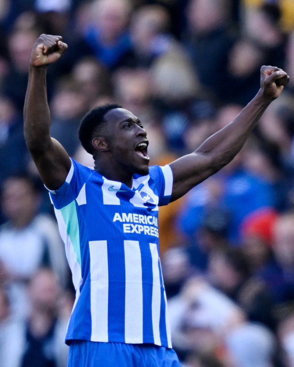 Albion Analytics tweet media