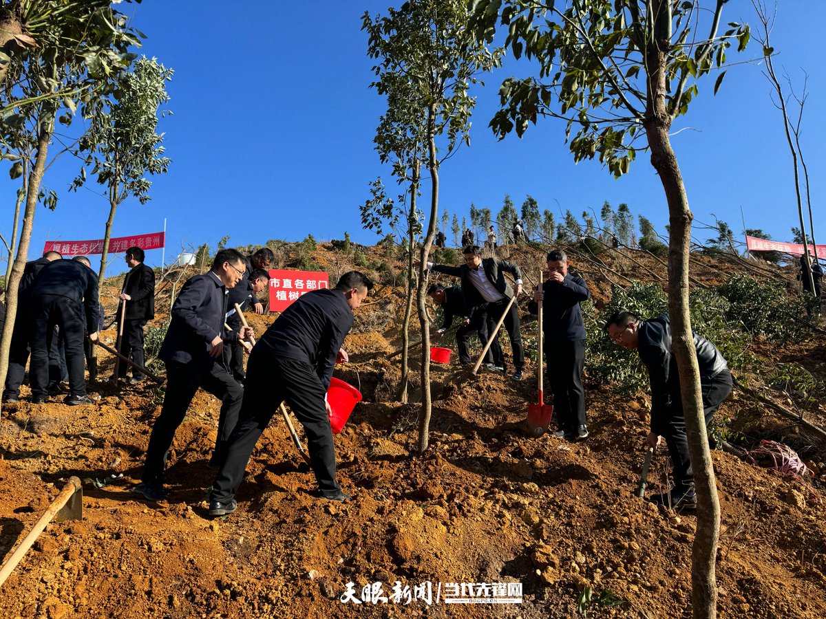 Nancy Ong tweet media