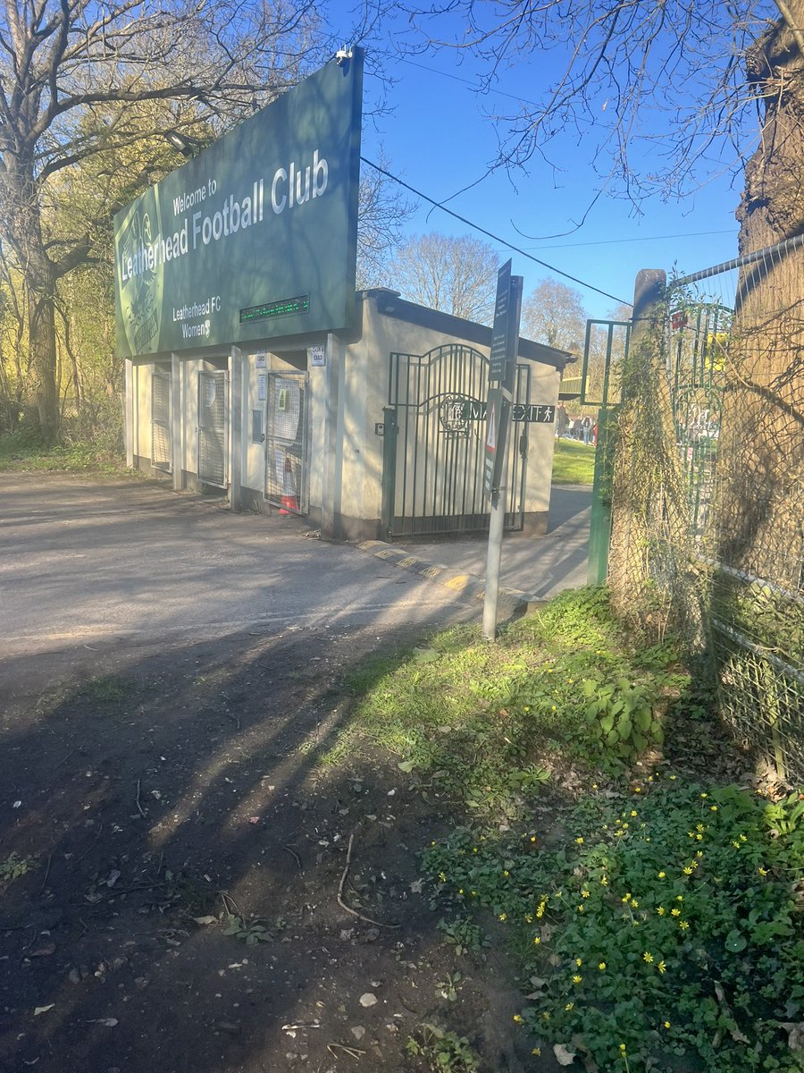 Kaylee Seckington tweet media