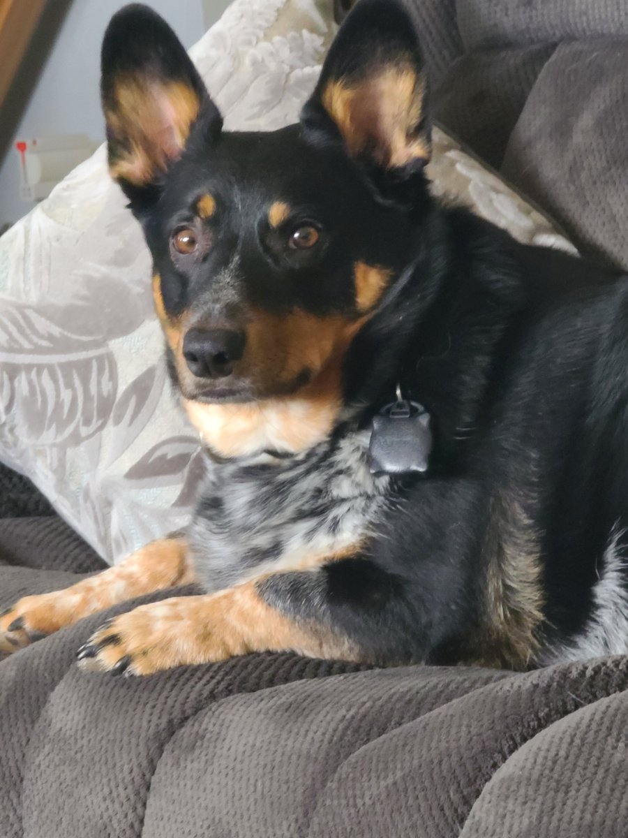 Leesa J. tweet media