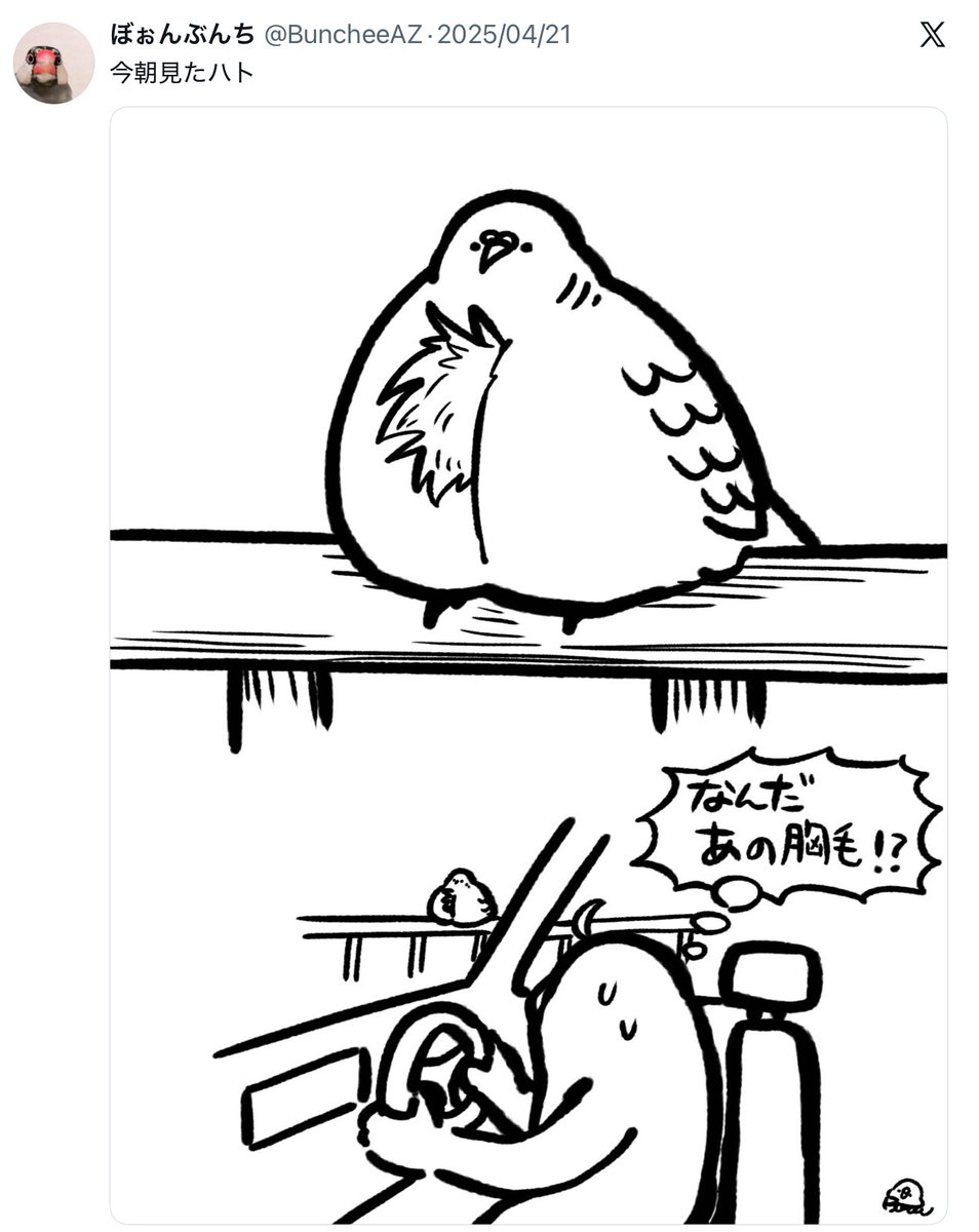 ぼぉんぶんち tweet media