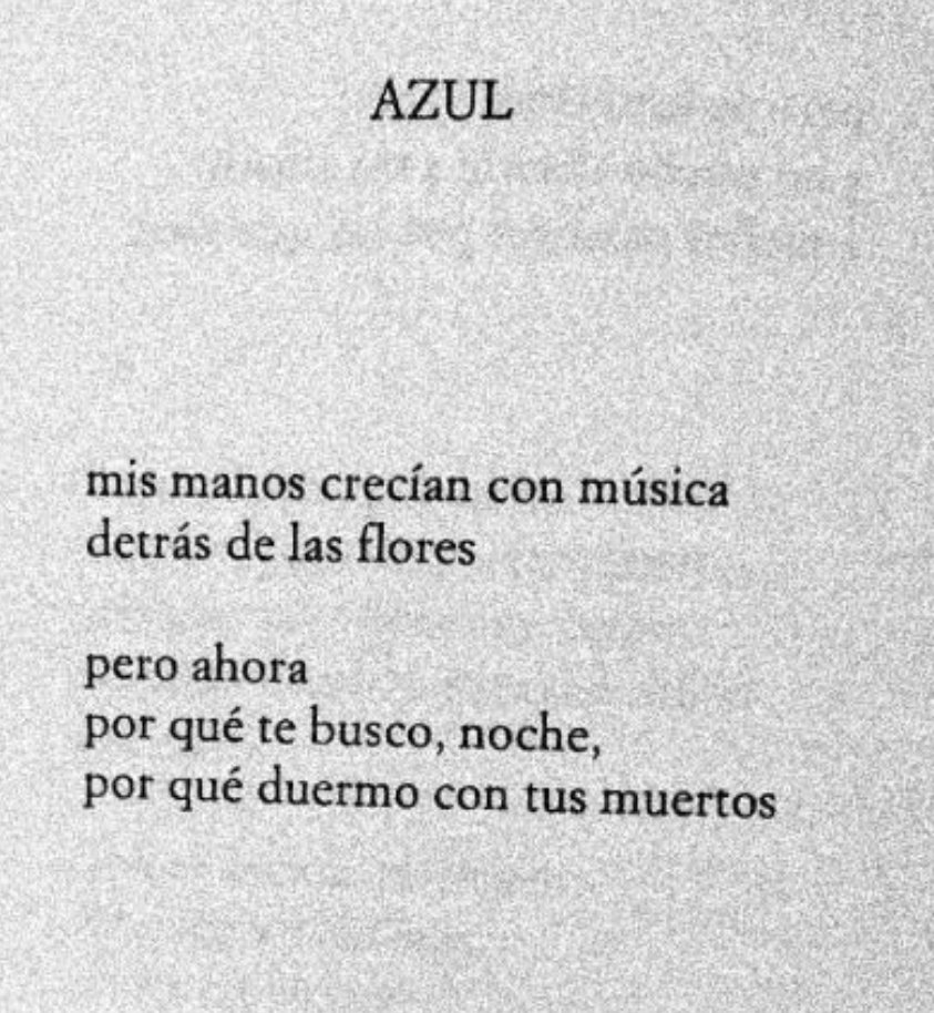 Carolina Arango tweet media