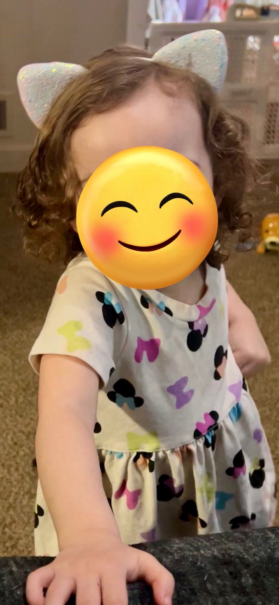 Kittzilla tweet media