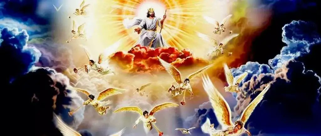 Wander 🇧🇷 tweet media