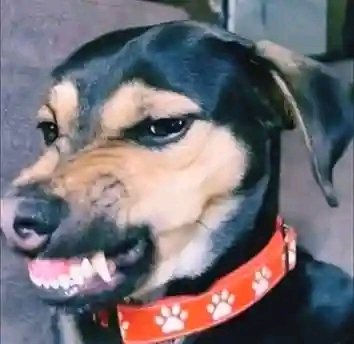 王森銀 tweet media