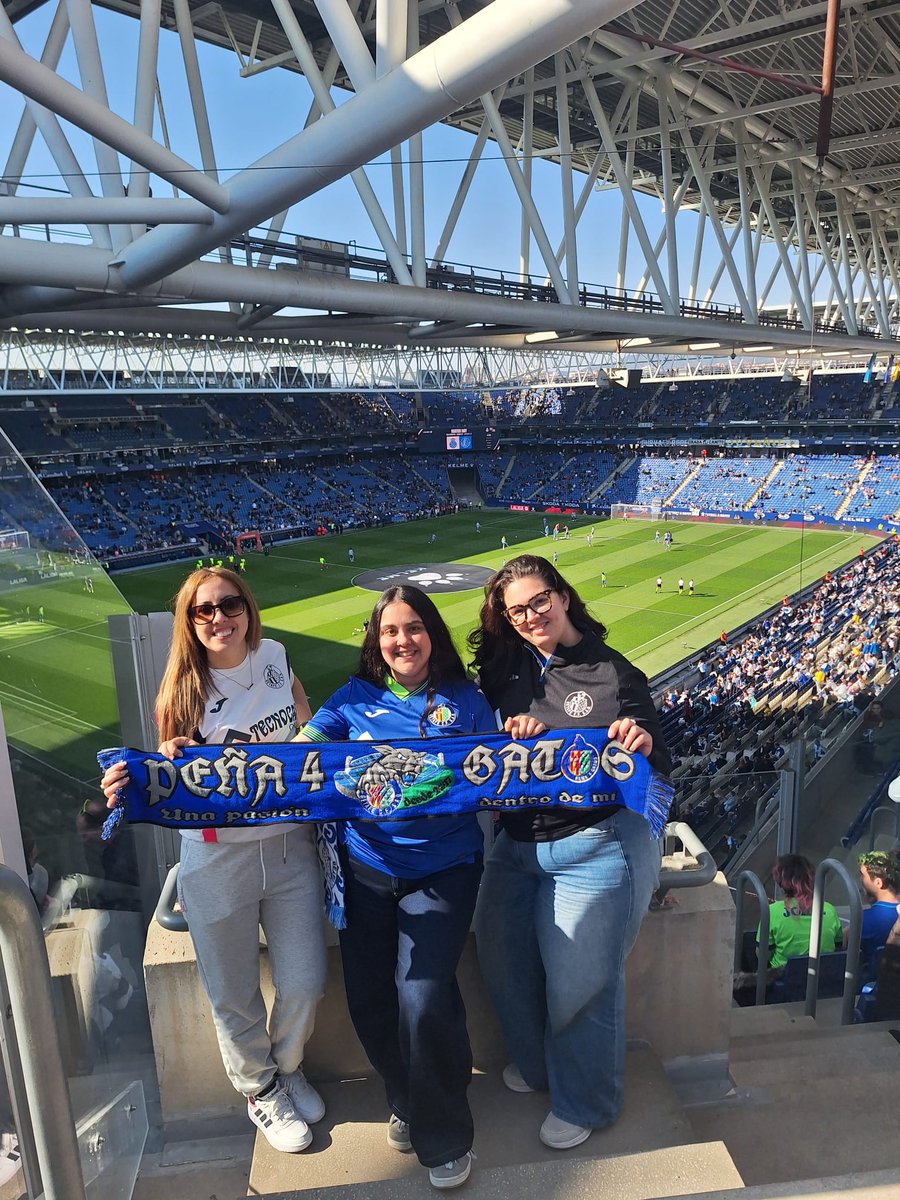 Peña 4 Gatos tweet media