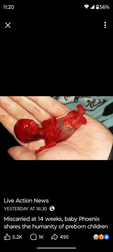 Maltanite's tweet photo. Looks human, tiny but human. https://t.co/pNadwWiJWf