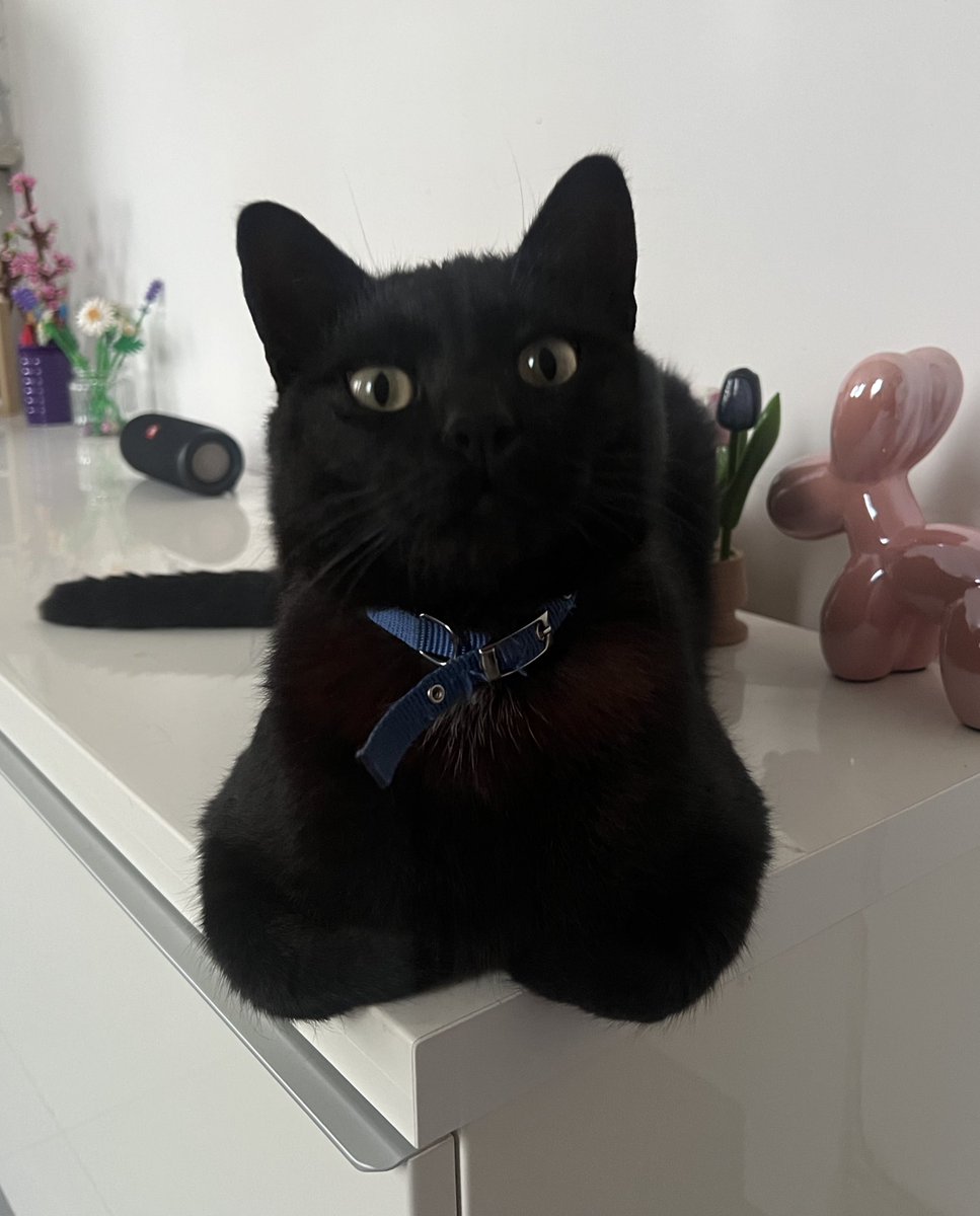 Like a Garu o tendrán una semana de mierda.