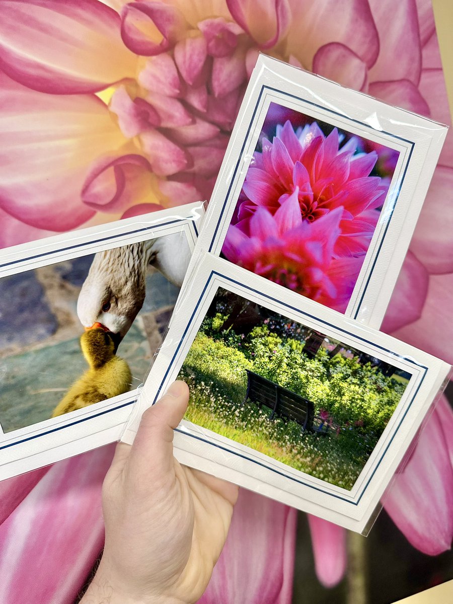 Wisdom of the Ages tweet media