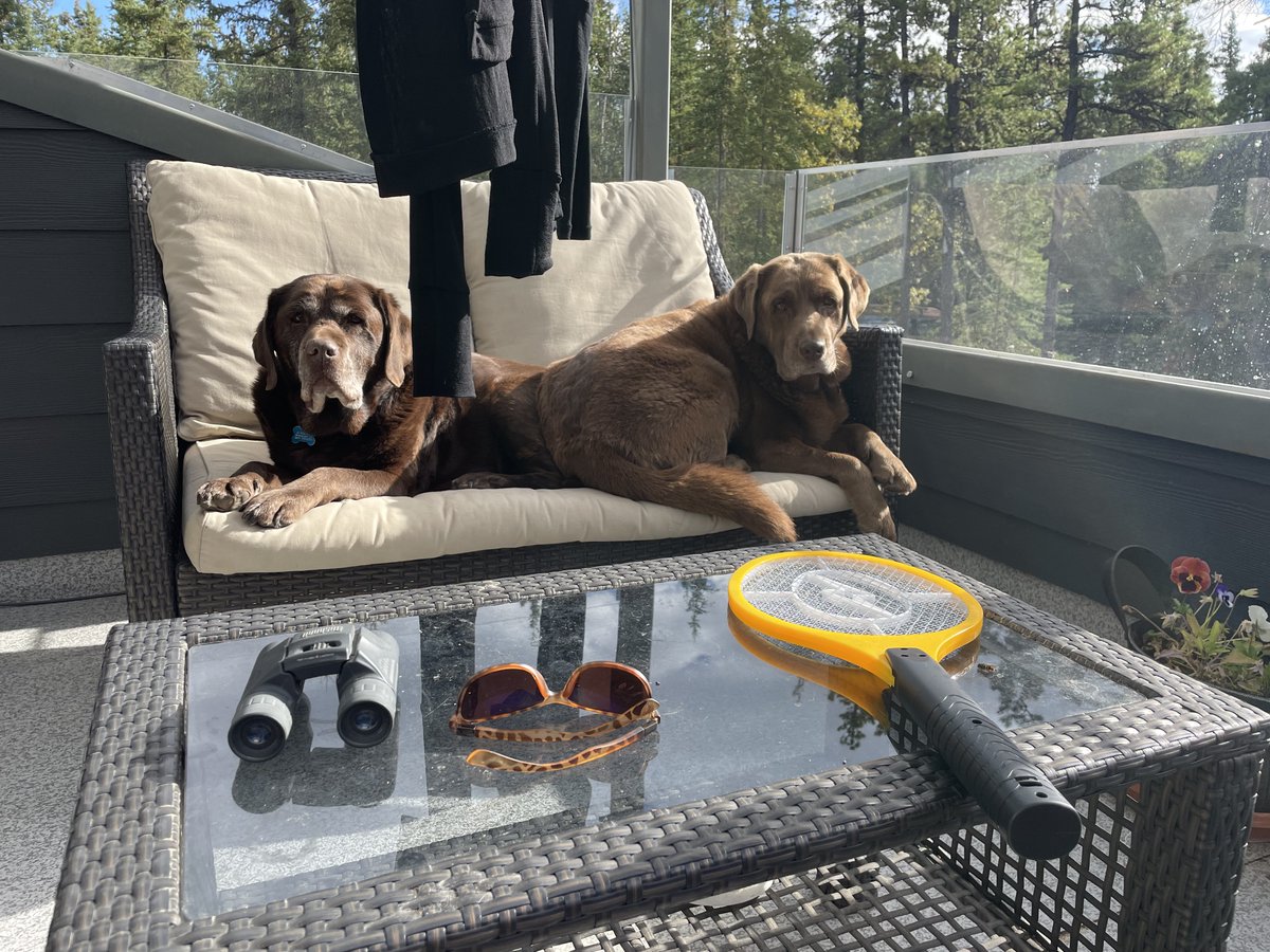 northerngirl65 tweet media