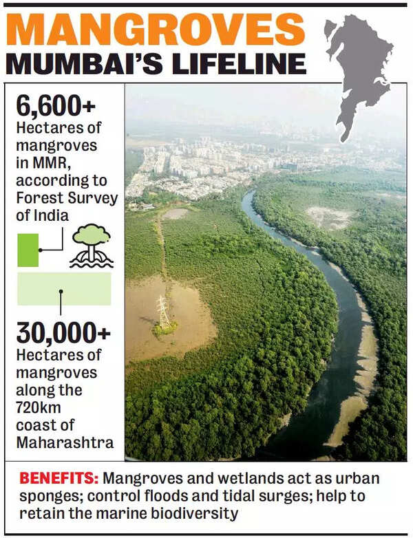 Dilthi Gujarati tweet media