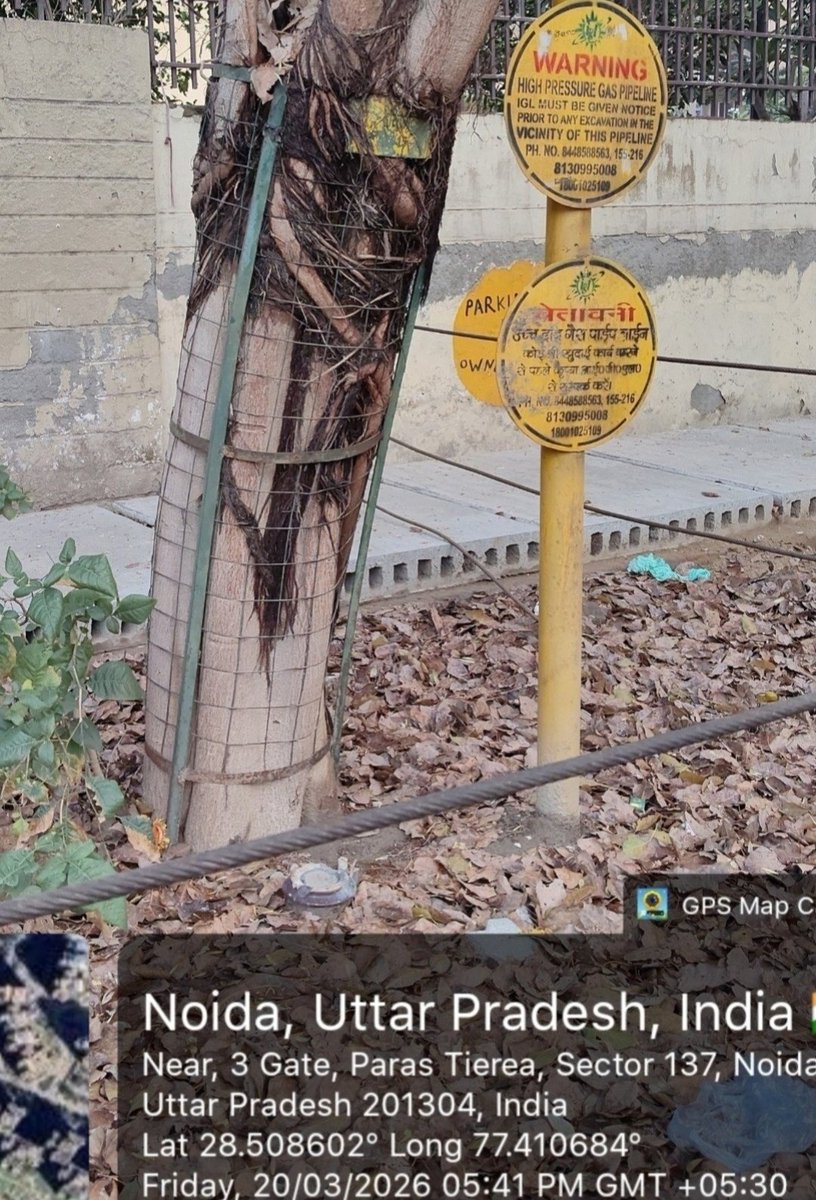 SunandaK2910's tweet photo. Issue: Please remove these iron cages from the tree trunks as these are damaging the tree growth. 

Location: Gate 3 Paras Tierea, Sector 137, Noida 

@CeoNoida 
@noida_authority https://t.co/GkAuSdhjL8