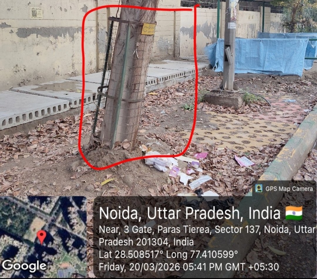 SunandaK2910's tweet photo. Issue: Please remove these iron cages from the tree trunks as these are damaging the tree growth. 

Location: Gate 3 Paras Tierea, Sector 137, Noida 

@CeoNoida 
@noida_authority https://t.co/GkAuSdhjL8
