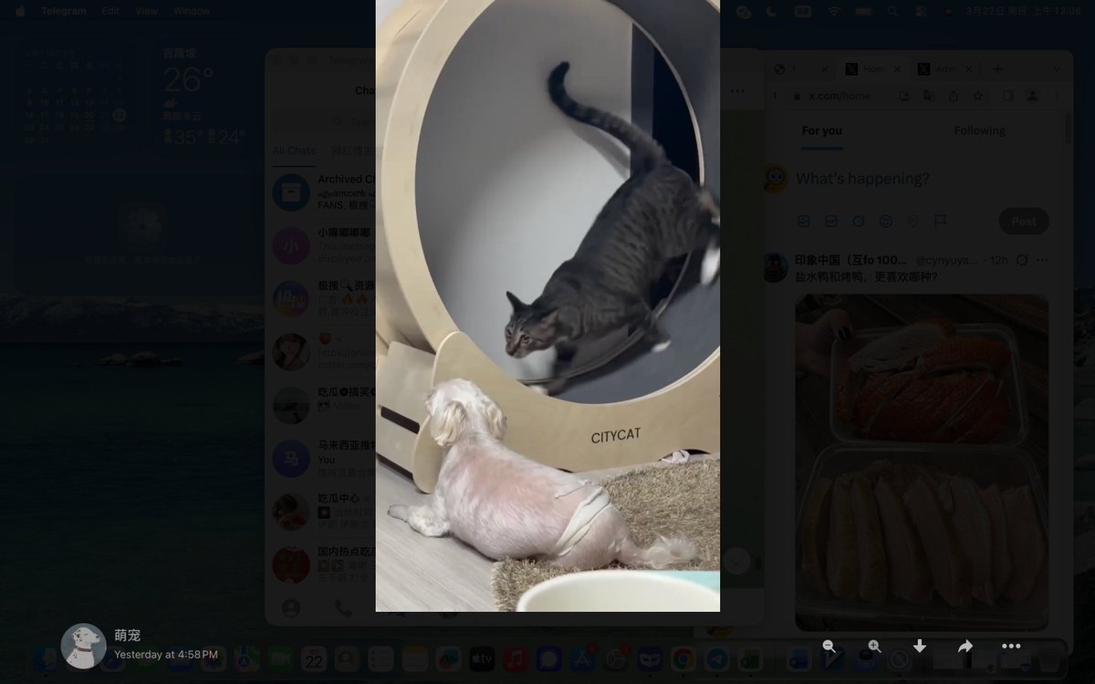 乐子观察员（互fo） tweet media