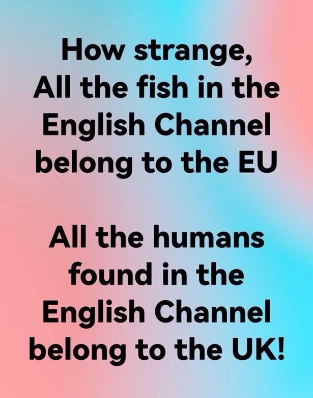 Patsyann🐾🐾🐈🍒 tweet media