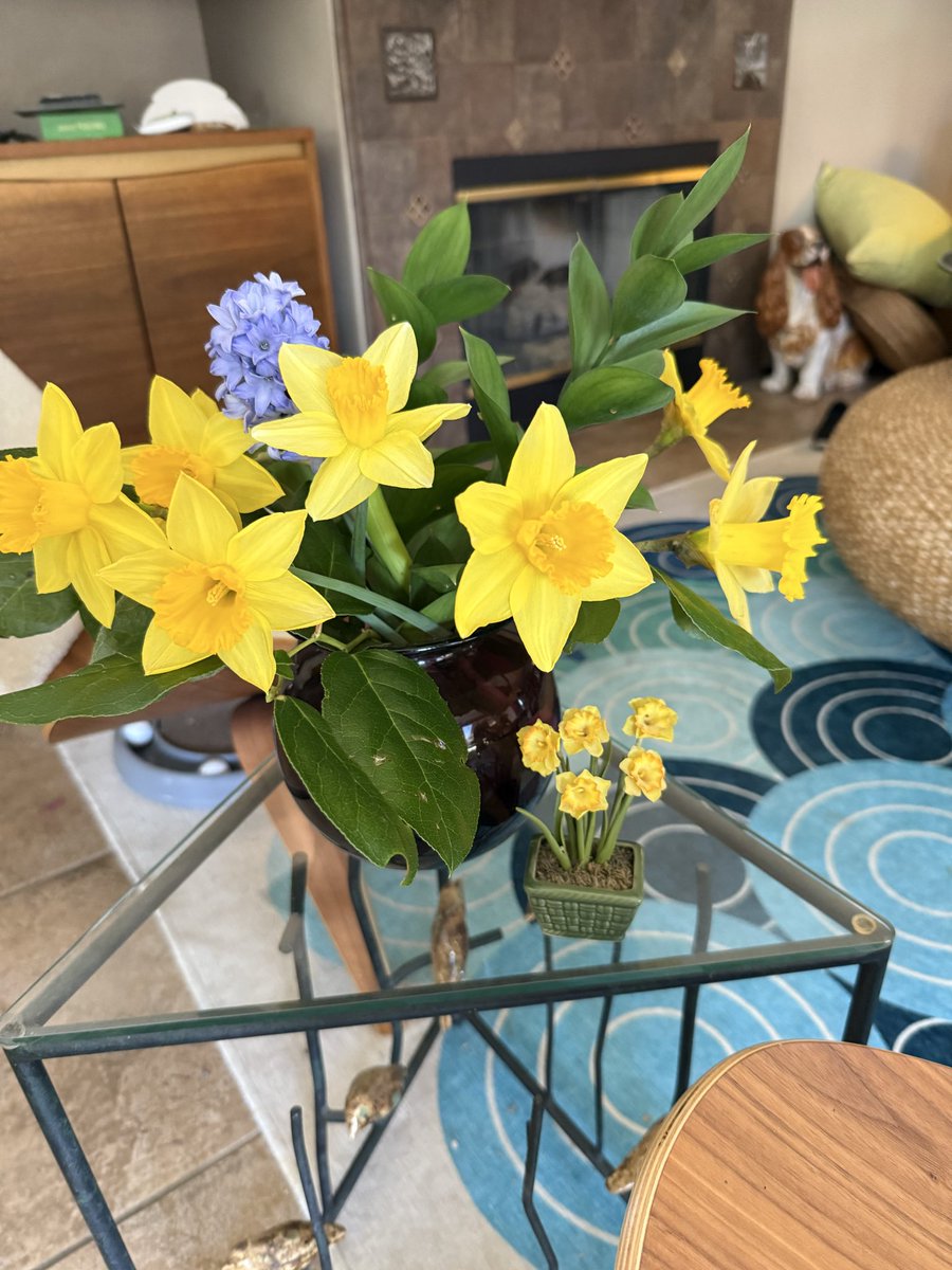 Mary MacGregor tweet media