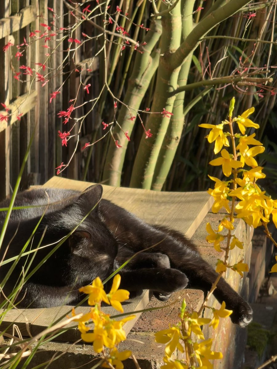 OutsideContextProblem 🍷 tweet media