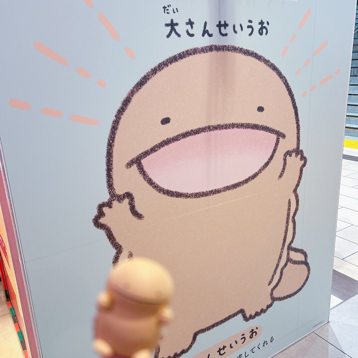 ぽこaぱや太 tweet media