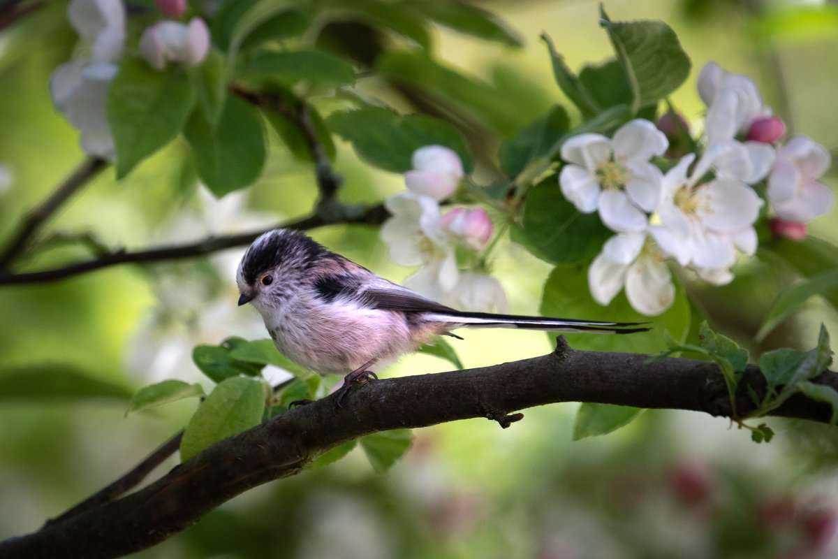 Andrew Locking tweet media