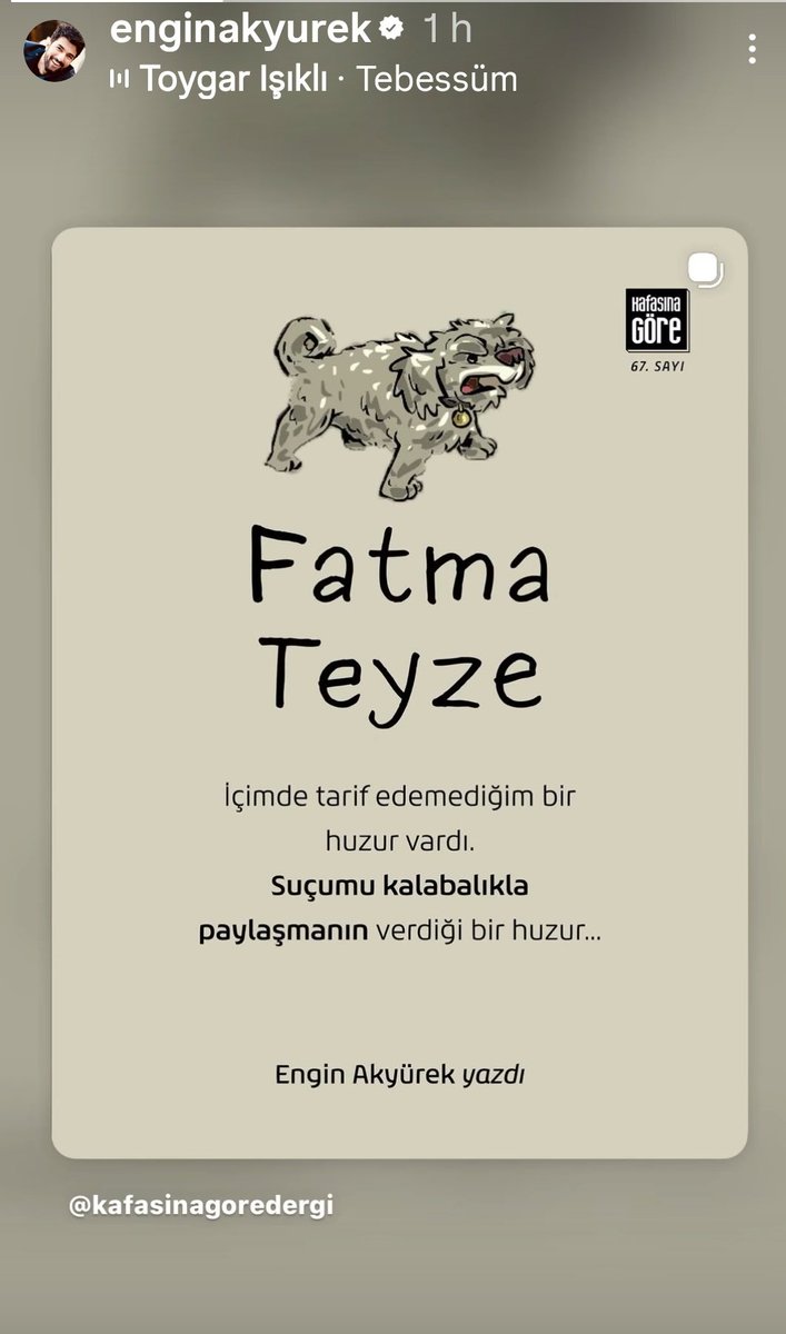 EnginAkyürekParaguay tweet media